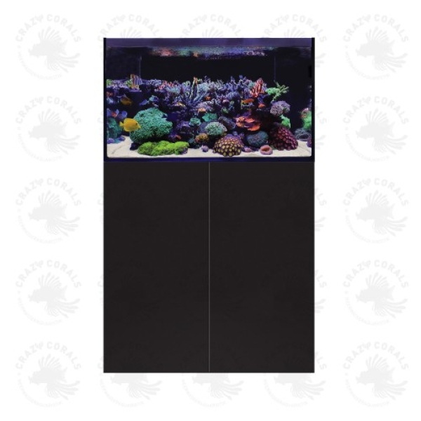 D-D Aqua-Pro Reef 900- BLACK SATIN